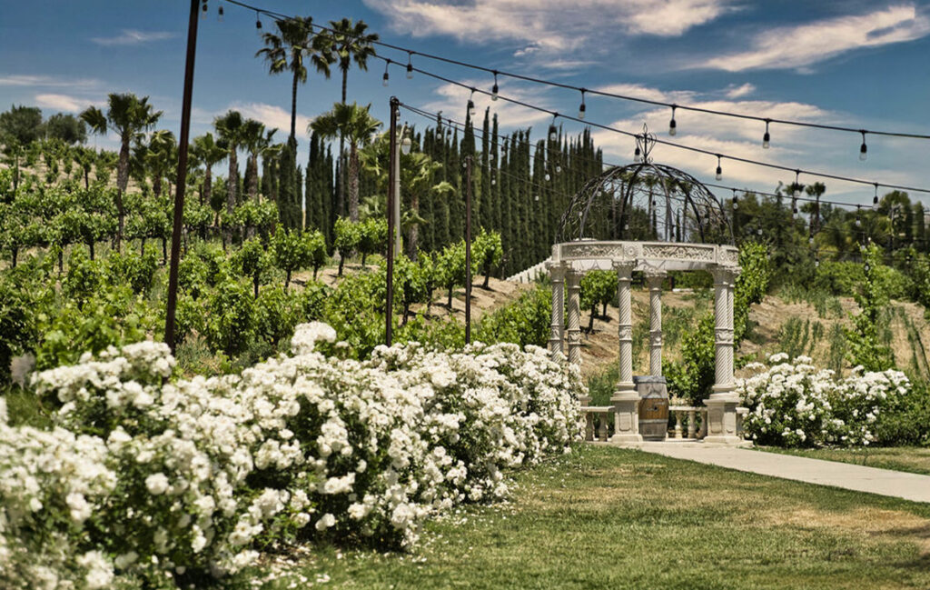 CLV_Wedding Lawn